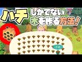 【あつ森】ハチしか出てこない木を作る方法を解説！5本以上木があっても大丈夫！