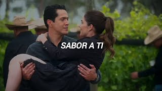 Sabor A Ti - Alex Fernández | Sabor A Ti Telenovela 