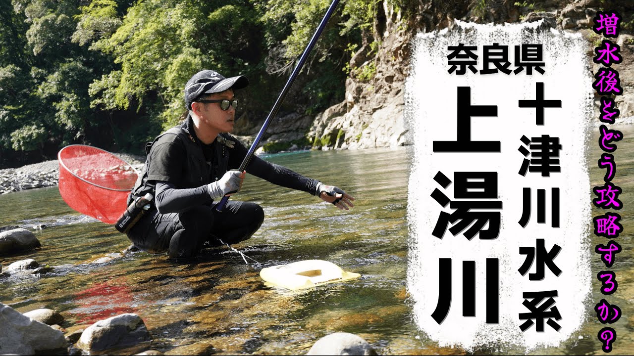 十津川水系上湯川友釣り/増水後を攻略できるか？？？2024/7月9日