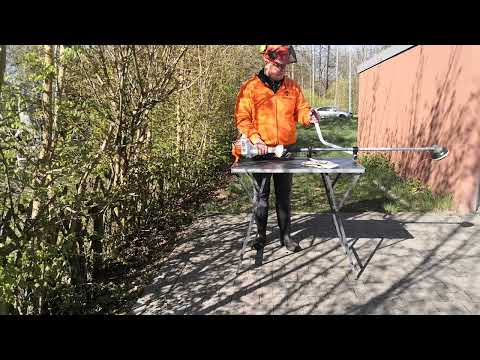 STIHL FS 55R