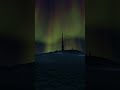 Don't be a tourist in DayZ