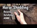 DESHEDDING HORSE ASMR RELAXING AND SATISFYING