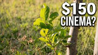 This Nikon D5200 Footage Looks Better Than Expected (Budget Cinema?)