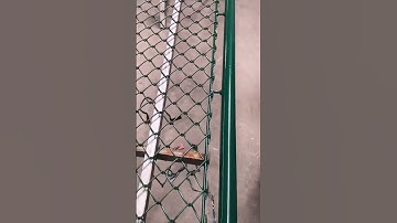 galvanized iron net making process #machine #goodtools #shorts