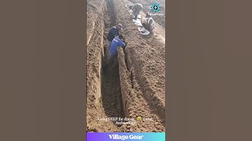 Deep Digging for GIANT Yams! 🍠 Kinda Satisfying Tho! #yam #digging #oddlysatisfying #farming