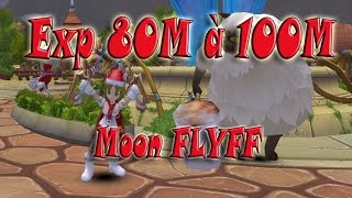 Exp 80M 100M [MOON FLYFF]