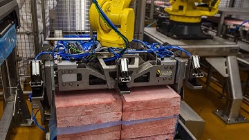 Frozen Block Palletizing - DGS Processing Solutions