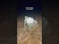 Your Always-Ready Light