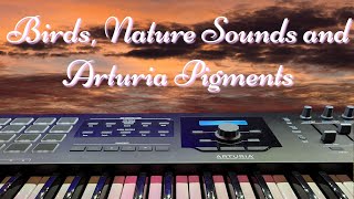 Relaxing Birds - Ambient Nature Sounds - Arturia Pigments screenshot 5