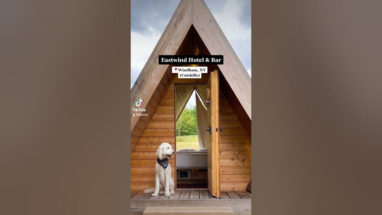 5 Pet Friendly Getaways In NY YouTube 5-pet-friendly-getaways-in-ny-youtube