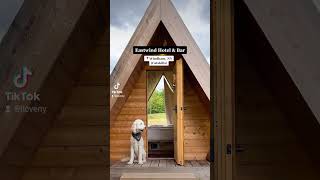 Celebrity 5 Pet-Friendly Getaways in NY Net Worth