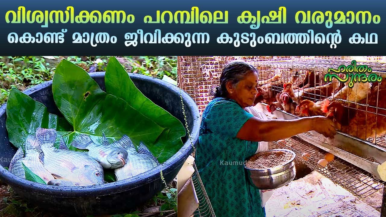 You won't believe!! A family living in Kollam Pattazhy, with the backup of farm income only | EP 304