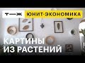 Юнит-экономика: картины из стабилизированных растений