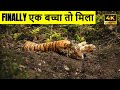 Ep 12  tiger cub sighting in dhikala  finally saw tiger but still not happy and satisfied dhikala