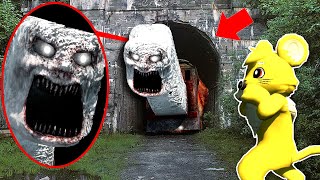 Do Not Enter Toby And Percy The Trains... Help