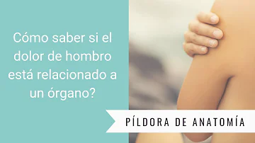 ¿La pancreatitis causa dolor en el hombro izquierdo?