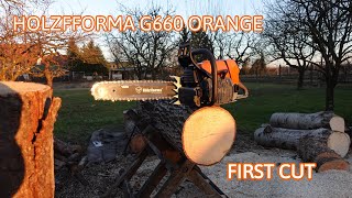 Holzfforma G660 Orange First cut, test, vs. Stihl MS660, MS650