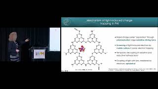 Optoelectronics meets optoionics: Energy conversion \& light storage in 2D carbon nitrides and beyond