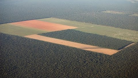 2023 De Eiwittransitie - over landgebruik, kringlopen en atomen en moleculen.