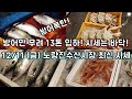 노량진 경매장에서 대방어 시중의 반값도 안되는 가격에 사세요! 굴 가격 대폭 하락! S급 고등어 출현! 12월11일 노량진수산시장 최신동향