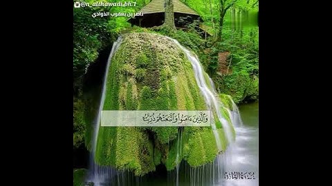 تلاوات شجيه بصوت القارئ ناصر بن يعقوب الذوادي