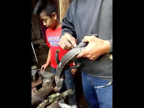 Como Se Pelan Las Iguanas Estilo Guerrero Youtube