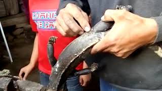 Como Se Pelan Las Iguanas Estilo Guerrero Youtube