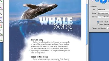 Kurzweil 3000 MAC V4: Phonemic Awareness and Phonics - Read Button Video