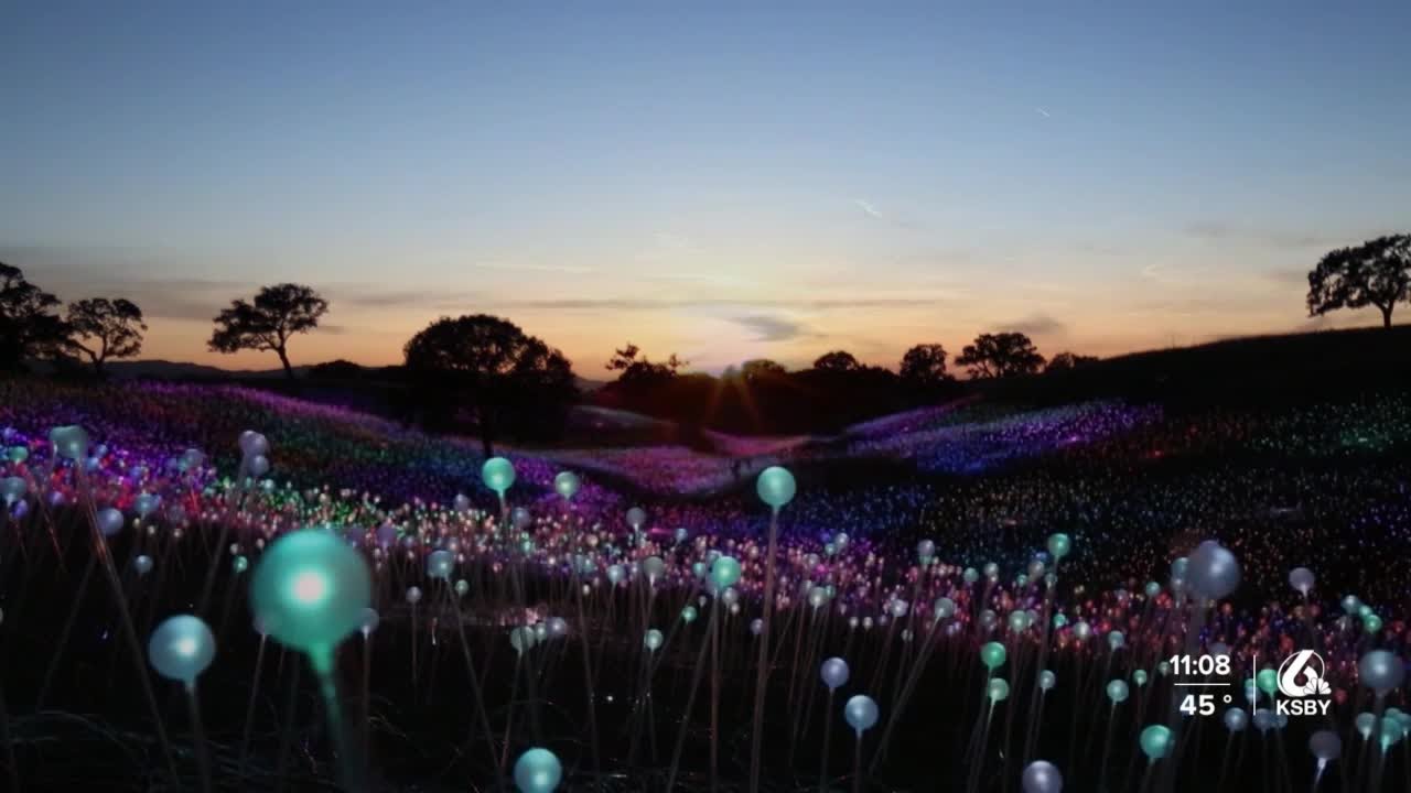 Sensorio holds fundraiser for family of missing 5-year-old Kyle Doan