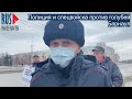 ⭕️  Полиция и спецвойска против голубей в Барнауле