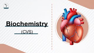 CVS: Biochemistry L4 -The Last Lecture-