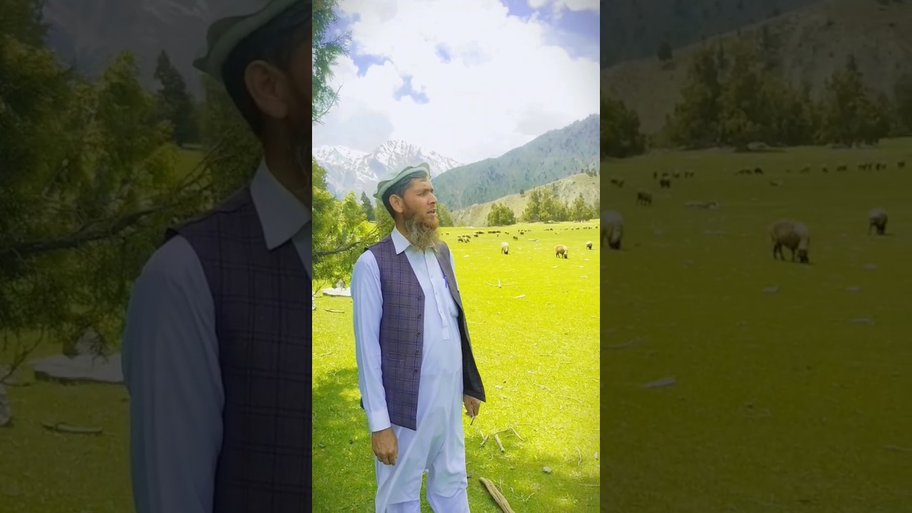 د ماما جان سره د سپين غر چکر #pakistan #love #afghanistan #afghan #vlog ...
