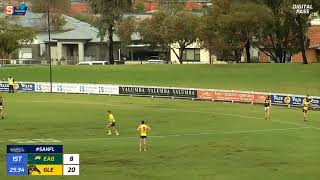 Round 12 SANFL Snapshot - Eagle Zane Williams threads the needle
