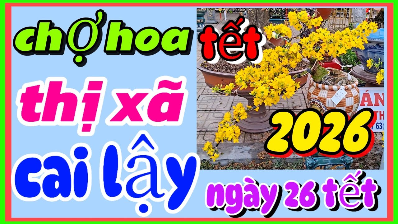 Chợ hoa xuân thị xã cai lậy nhộn nhịp ngày giáp tết 2026