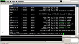 VMware vSphere 5.1 - Introduction to Virtual Machines