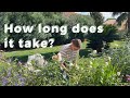 🕒 How Much Time Does It REALLY Take to Maintain a Garden? | Real-Life Gardening Routine