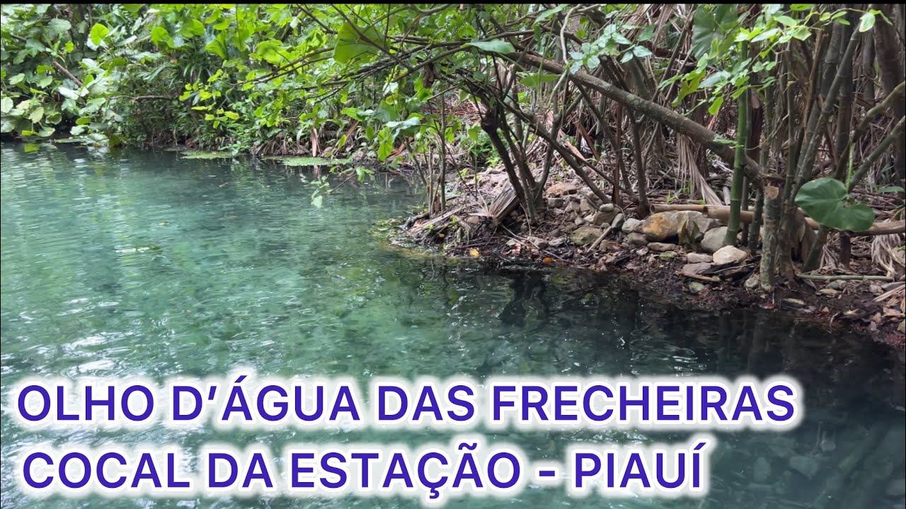CONHEÇA O OLHO D’ÁGUA DAS FRECHEIRAS NA CIDADE DE COCAL DA ESTAÇÃO PIAUÍ 