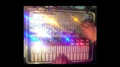 One Cat, a Buchla Music Easel and a looper