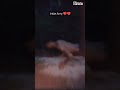 Indian army power please support to Ritesh funny dance video channel please guys like and subscribe