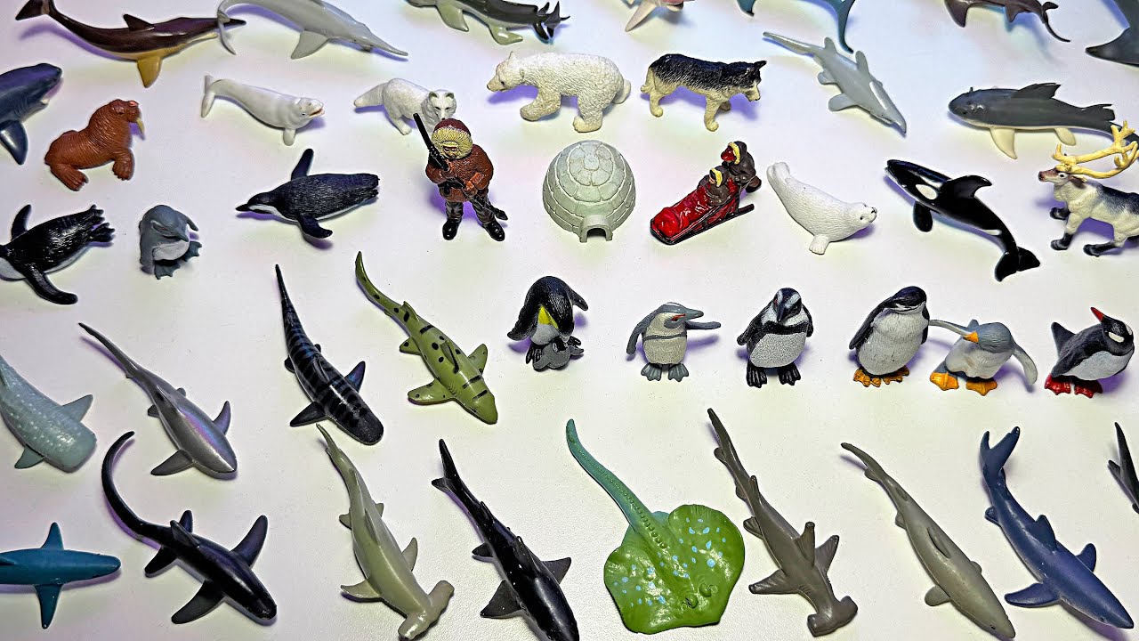Arctic & Sea Animals Toys - Penguin, Shark, Hammerhead Shark, Walrus, Huskies, Arctic Fox, Stingray