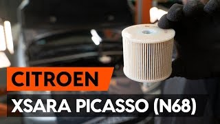 Kā nomainīt Degvielas filtrs CITROËN XSARA PICASSO (N68) - video ceļvedis