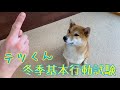 【幼稚園】テツくん試験がんばりました❗️