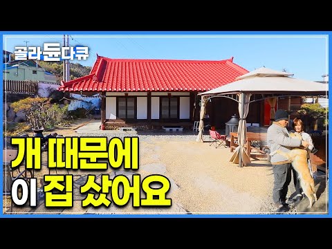 우리집 개 때문에 120년 된 고택을 샀다. 그런데 개만큼 사람도 푹 빠져버린 바닷가 마을 빨간 지붕집🏠 시골살이 초짜 부부의 고택 수리 | 반려견 | #골라듄다큐