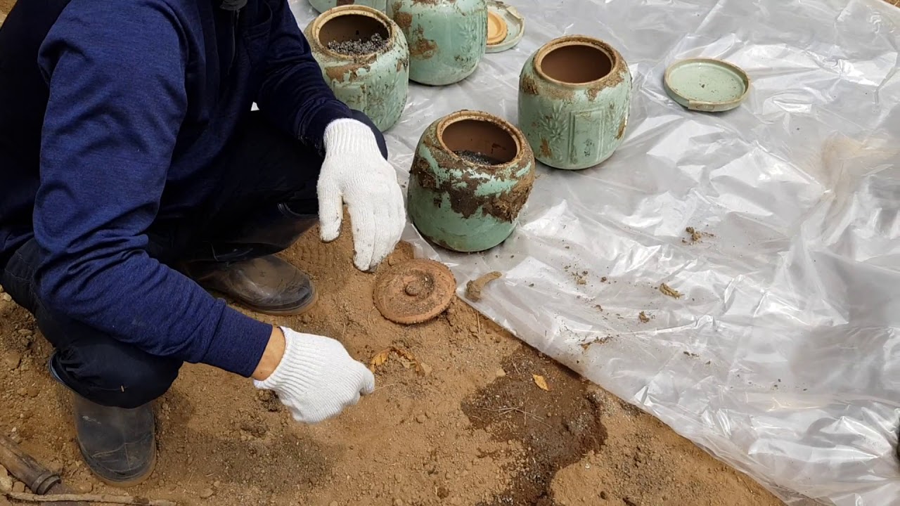 이래도 화장이 무해무득하다는 말이 나와요?/납골묘 파묘현장