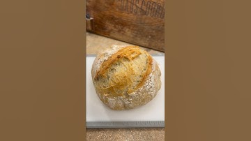 No Knead Dutch Oven Crusty Bread, no sourdough starter and only 4 ingredients #bread #homemade