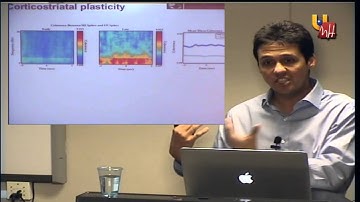 UMH - CLOSED-LOOP DECODER ADAPTATION IN BRAIN-MACHINE INTERFACES