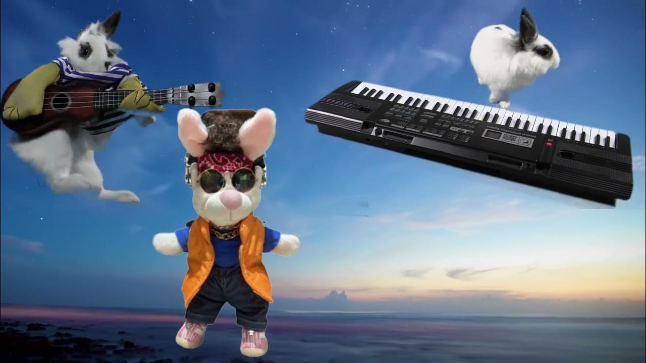 Why bunnies should not be in cages YouTube