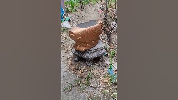 Đúc Chậu Cá Chép Bằng Khuôn Nhựa ABS Giá Rẻ