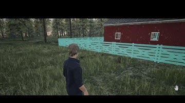 Ranch simulator building fence and expanding my flock