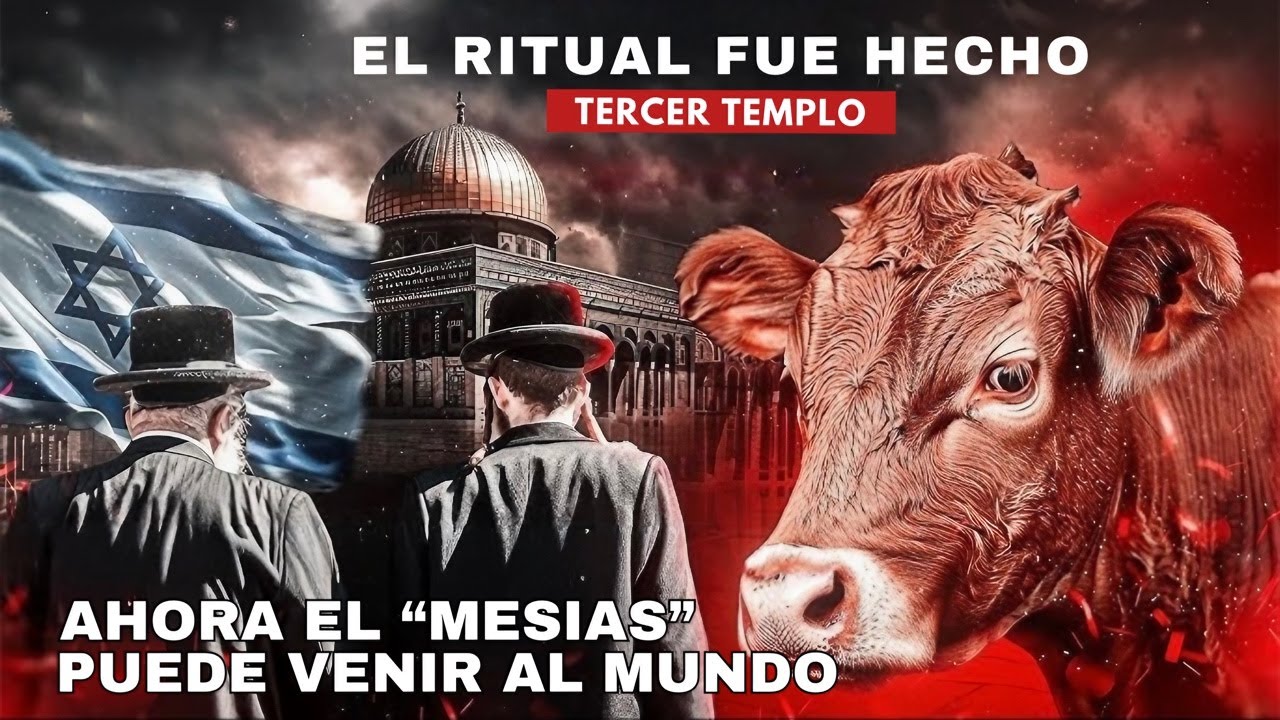 La Vacaca Ritual Confirmado: El Ritual se Realizó | Se Sacrificó la Vaca Roja | 23 de ...